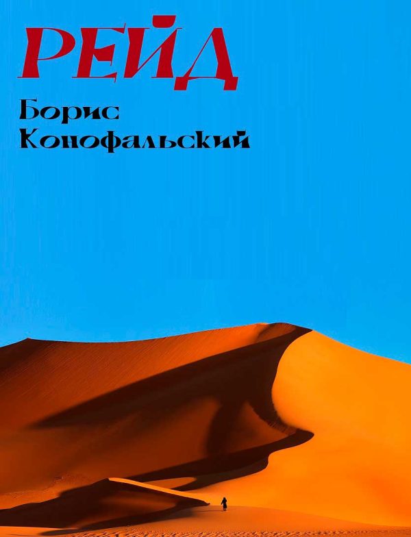 Обложка книги «РЕЙД»