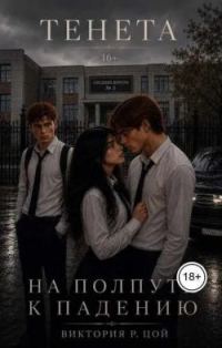 Обложка книги «На полпути к падению»