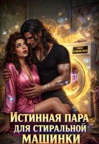 Обложка книги «Истинная пара для Стиральной машинки»