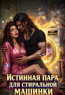 Обложка книги «Истинная пара для Стиральной машинки»