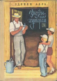 Обложка книги «Звёзды над хутором»