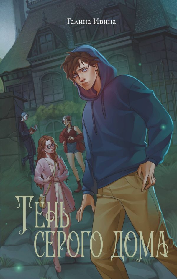 Обложка книги «Тень серого дома»