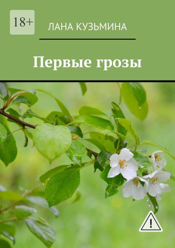 Обложка книги «Первые грозы»