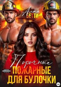 Обложка книги «Порочные пожарные для булочки»