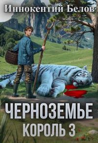 Обложка книги «Черноземье. Король 3»