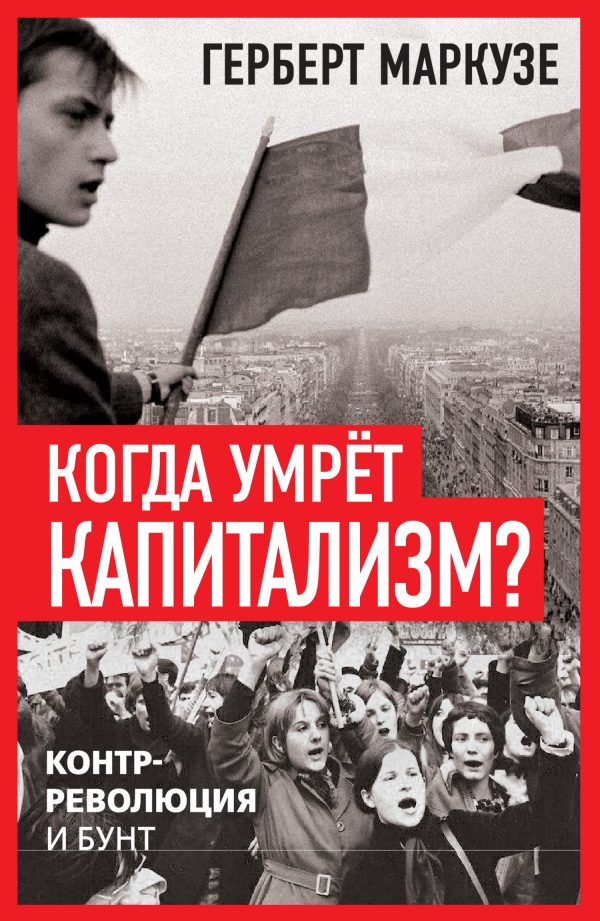 Обложка книги «Когда умрёт капитализм? Контрреволюция и бунт»