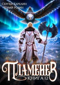 Обложка книги «Пламенев. Книга 12»