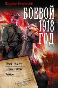 Обложка книги «Боевой 1918 год. Длинные вёрсты. Комбриг»