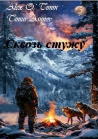 Обложка книги «Сквозь стужу»