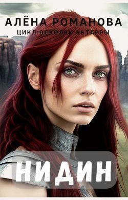 Обложка книги «Нидин»