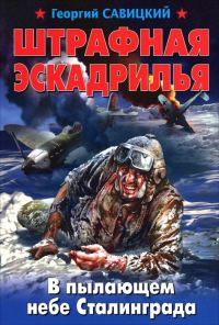 Обложка книги «Штрафная эскадрилья. В пылающем небе Сталинграда»