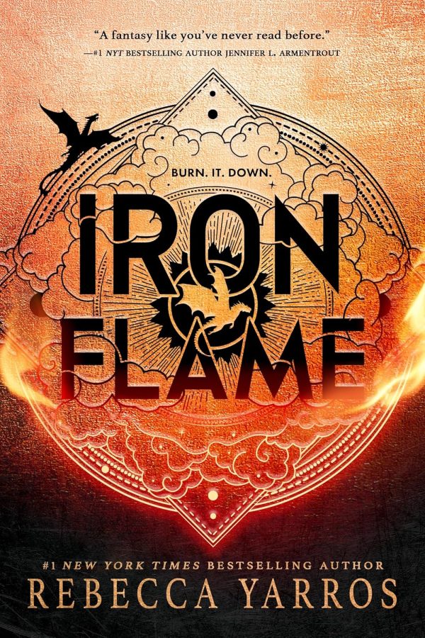 Обложка книги «Iron Flame»