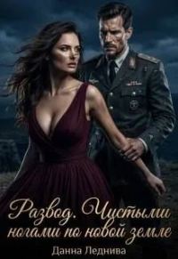 Обложка книги «Развод. Чистыми ногами по новой земле»