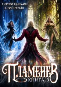 Обложка книги «Пламенев. Книга 13»