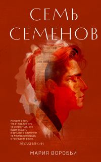 Обложка книги «Семь Семенов»