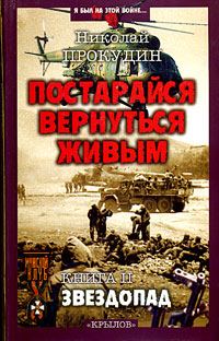 Обложка книги «Звездопад»