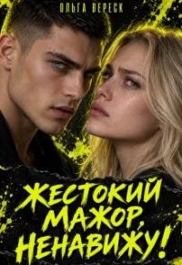 Обложка книги «Жестокий мажор, ненавижу!»