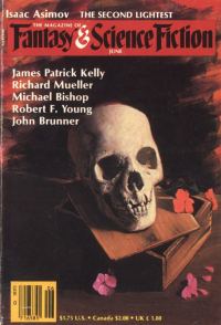 Обложка книги «Крыса»