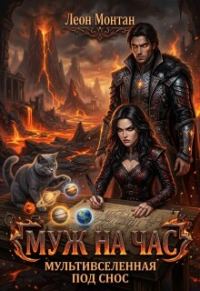 Обложка книги «Мультивселенная под снос»