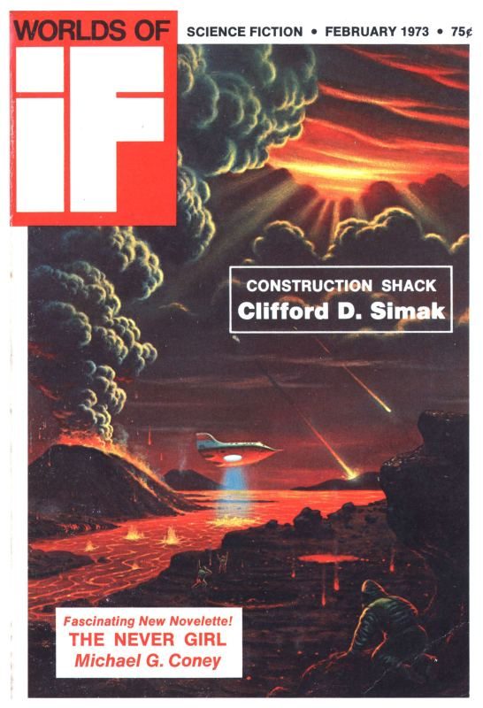 Обложка книги «Смерть и посвящение у Асади»