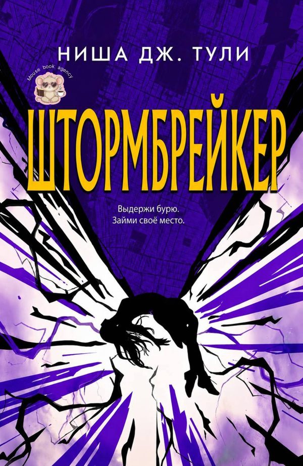 Обложка книги «Штормбрейкер»