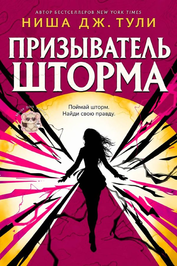 Обложка книги «Призыватель шторма»