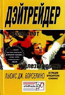 Обложка книги «Дэйтрейдер. Кровь, пот и слезы успеха»