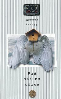 Обложка книги «Рэй задним ходом»