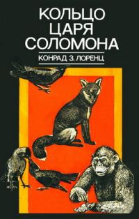Обложка книги «Кольцо царя Соломона»