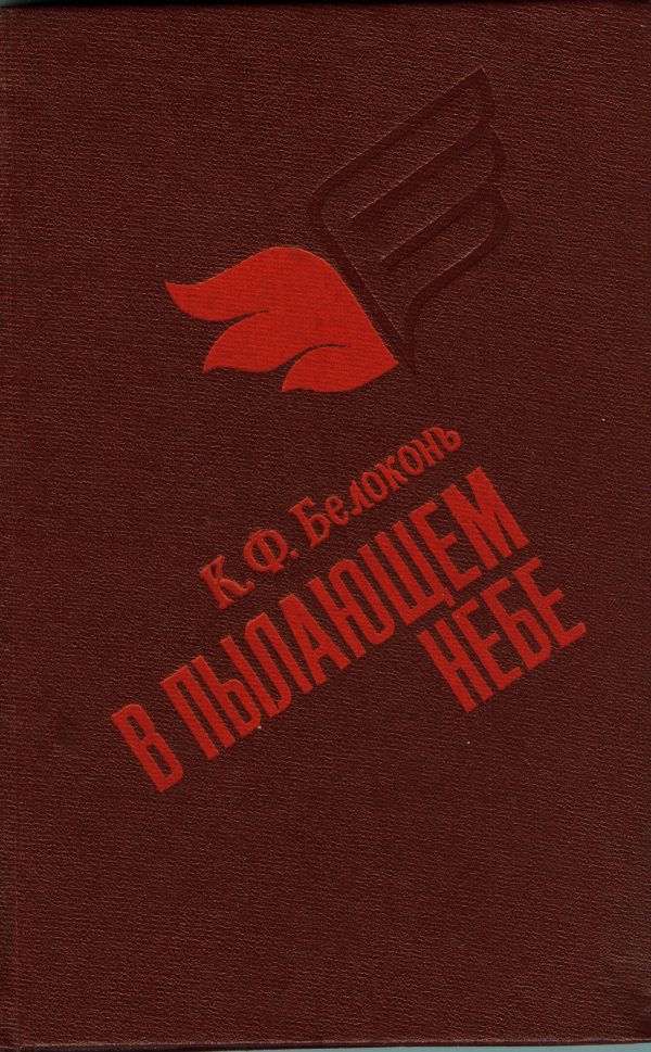 Обложка книги «В пылающем небе»