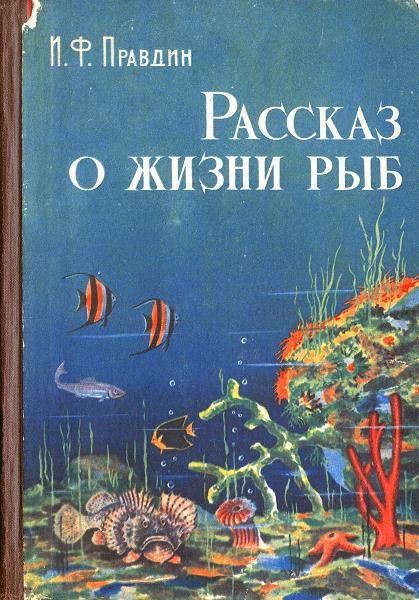 Обложка книги «Рассказ о жизни рыб»