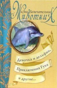 Обложка книги «Приключения Гука»