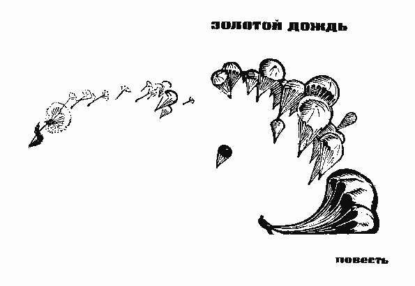 Обложка книги «Золотой Дождь»