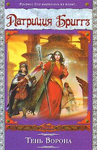 Обложка книги «Тень Ворона»