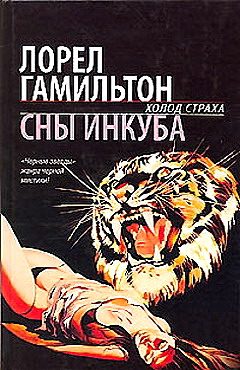 Обложка книги «Сны инкуба»